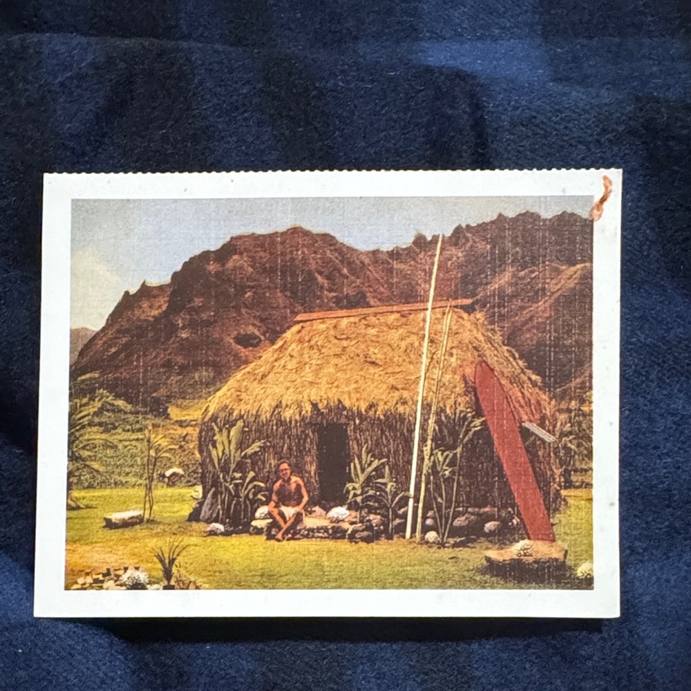 Rustic Hut Art Postcard Print